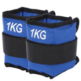 Leg Weights - a Pair of Ankle Weights