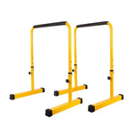 A Pair of Portable Adjustable Parallel Equalizers