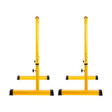 A Pair of Portable Adjustable Parallel Equalizers