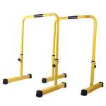 A Pair of Portable Adjustable Parallel Equalizers