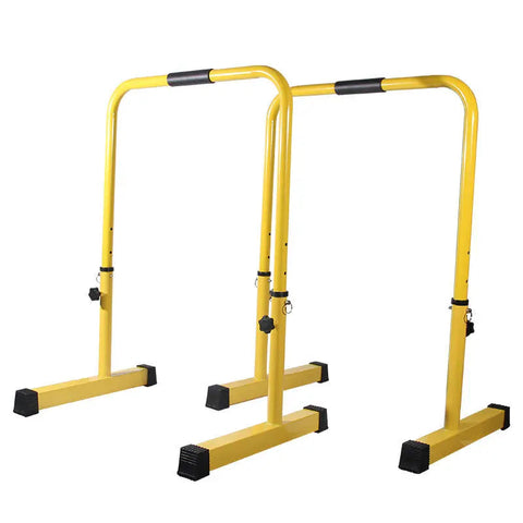 A Pair of Portable Adjustable Parallel Equalizers